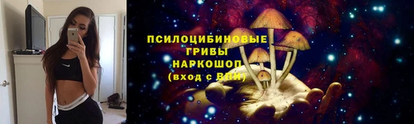 ГАЛЛЮЦИНОГЕННЫЕ ГРИБЫ Абинск