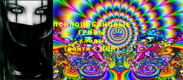 ГАЛЛЮЦИНОГЕННЫЕ ГРИБЫ Абинск