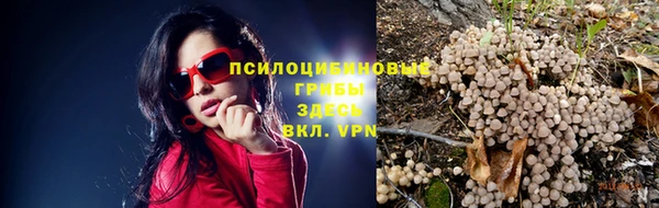 скорость Абаза