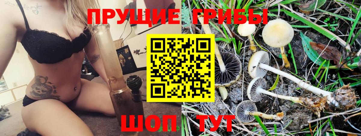 Псилоцибиновые грибы ЛСД  Галлюциногенные грибы GOLDEN TEACHER  Рославль  Вход с VPN 